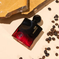 Temptation Perfume Lasts Long, Niche Perfume - Image 8