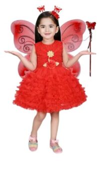 Buy Princess Trendy Girls Angel Frocks Dresses for Birthday (4-5 Years) Red at Amazon.in